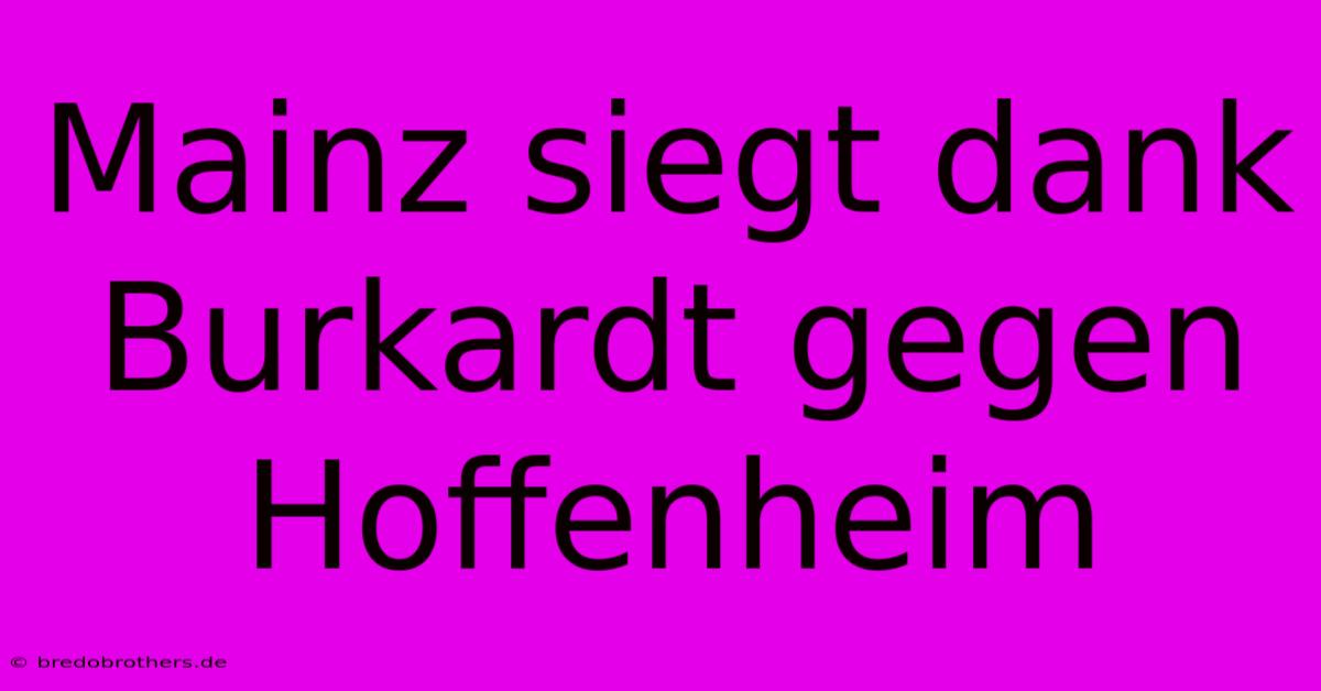 Mainz Siegt Dank Burkardt Gegen Hoffenheim