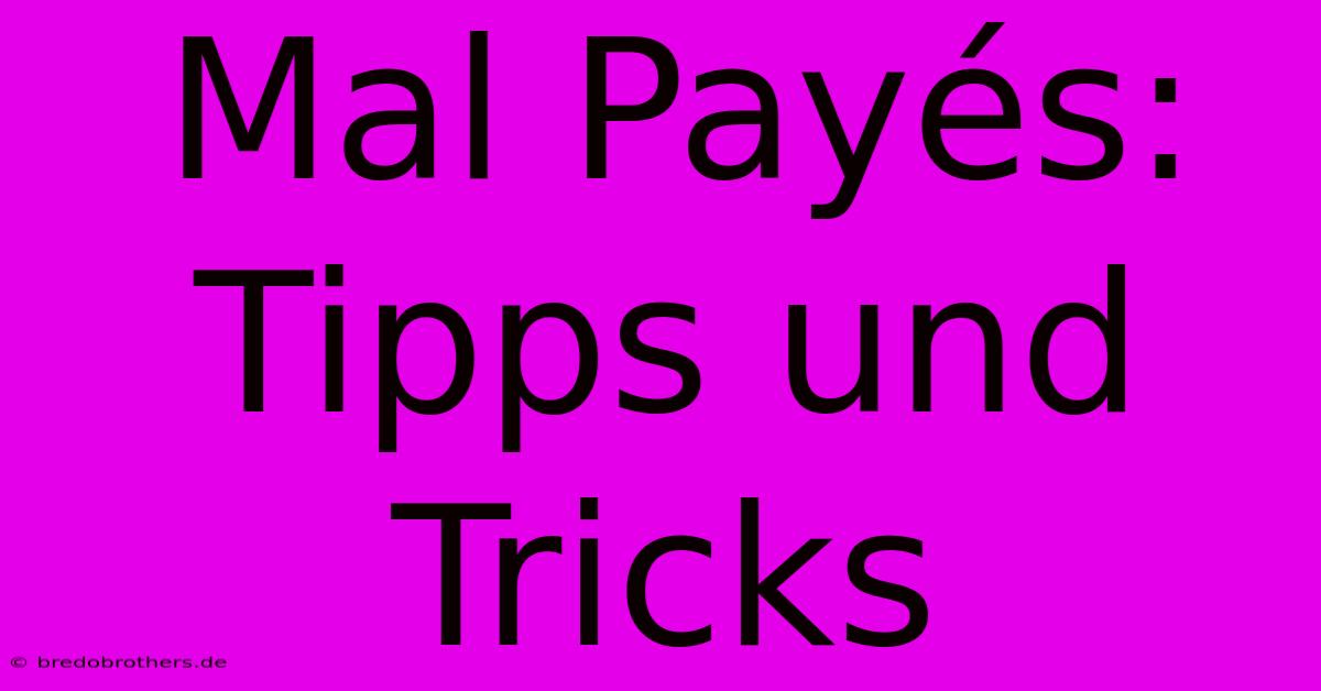 Mal Payés: Tipps Und Tricks