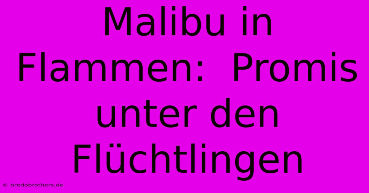 Malibu In Flammen:  Promis Unter Den Flüchtlingen