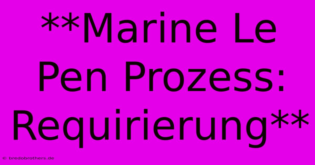 **Marine Le Pen Prozess: Requirierung**