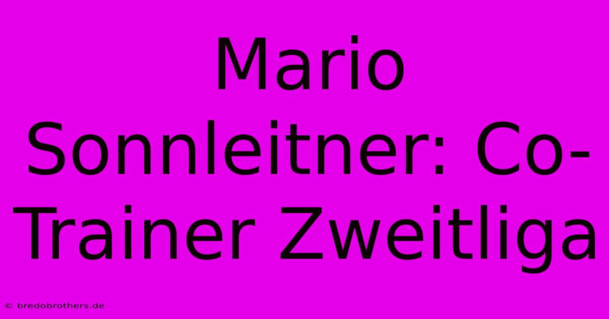 Mario Sonnleitner: Co-Trainer Zweitliga