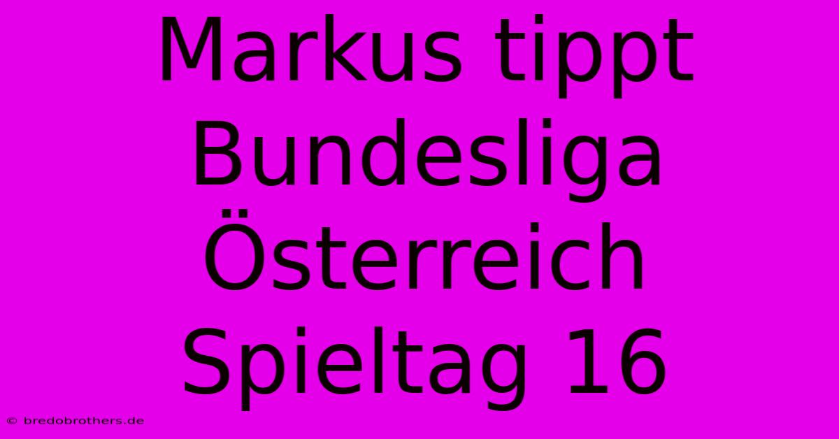 Markus Tippt Bundesliga Österreich Spieltag 16