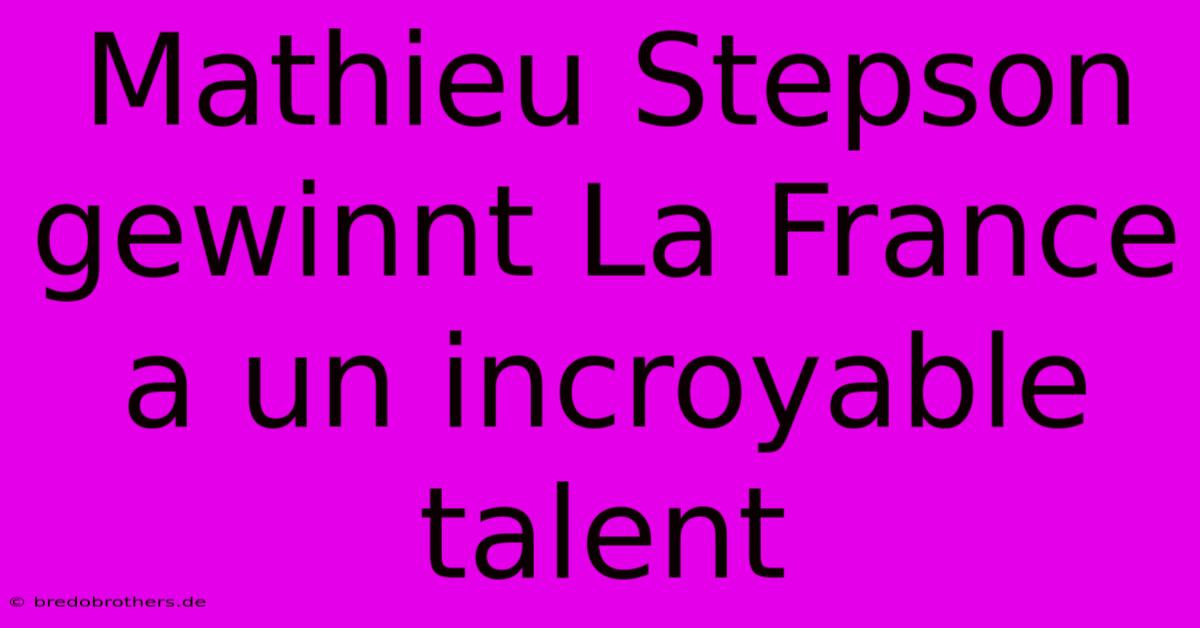 Mathieu Stepson Gewinnt La France A Un Incroyable Talent