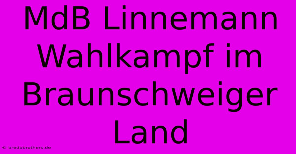 MdB Linnemann Wahlkampf Im Braunschweiger Land