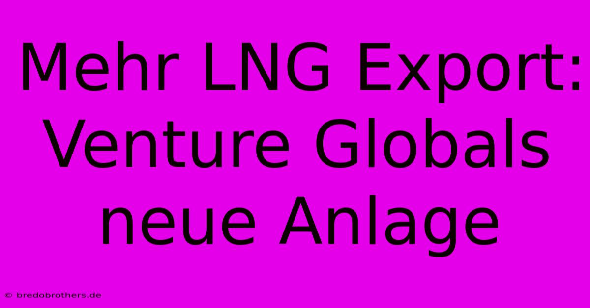 Mehr LNG Export: Venture Globals Neue Anlage