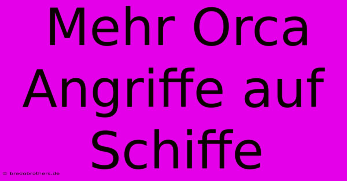 Mehr Orca Angriffe Auf Schiffe