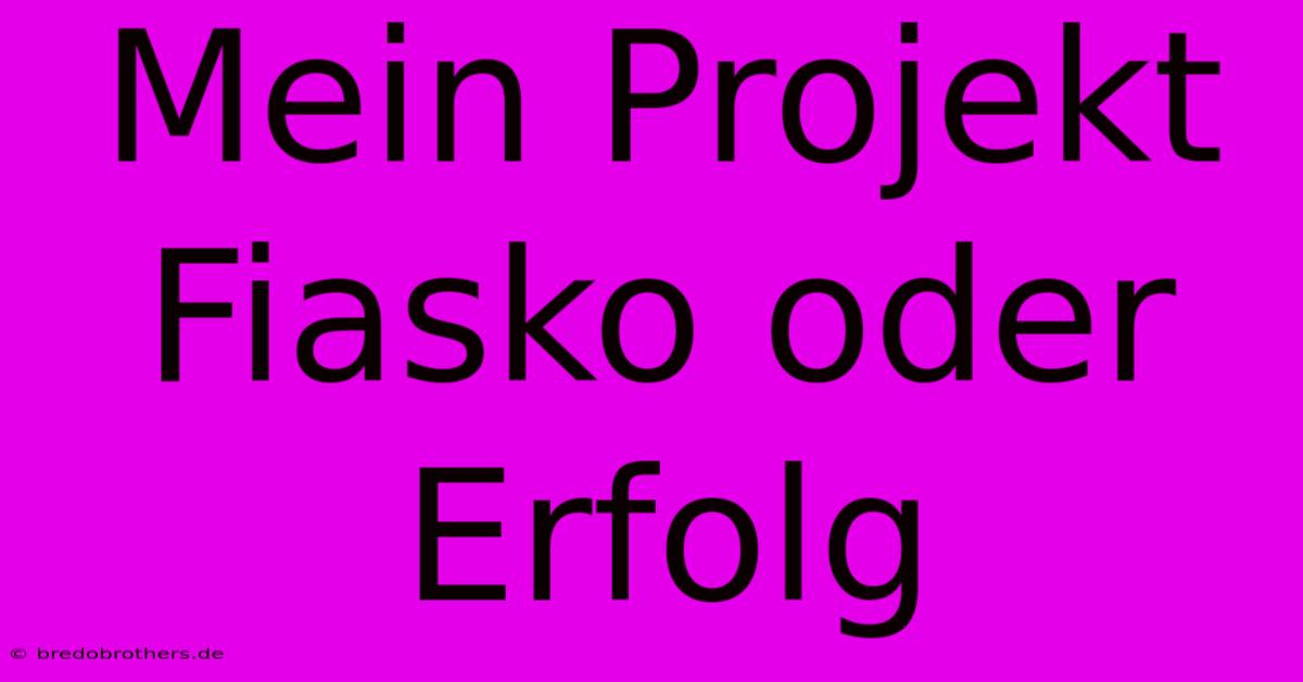 Mein Projekt Fiasko Oder Erfolg