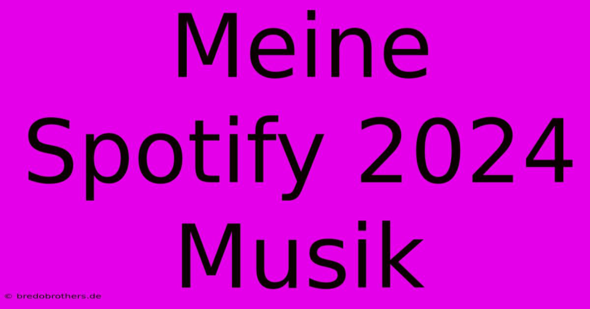 Meine Spotify 2024 Musik