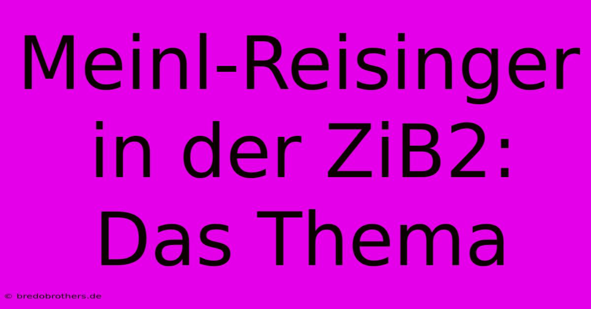 Meinl-Reisinger In Der ZiB2:  Das Thema