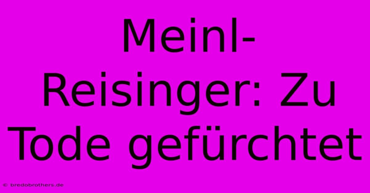 Meinl-Reisinger: Zu Tode Gefürchtet