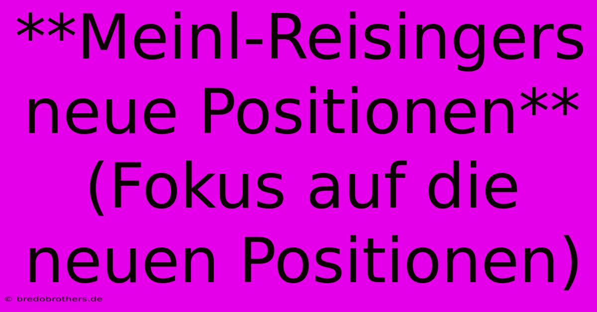 **Meinl-Reisingers Neue Positionen** (Fokus Auf Die Neuen Positionen)