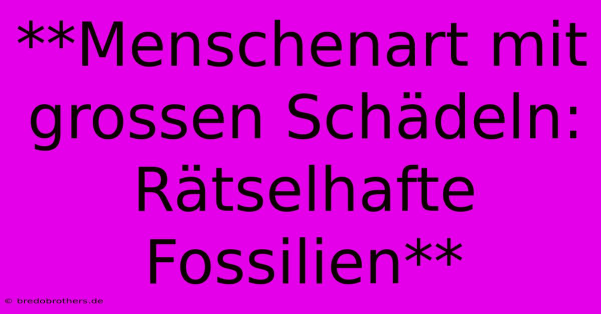 **Menschenart Mit Grossen Schädeln: Rätselhafte Fossilien**