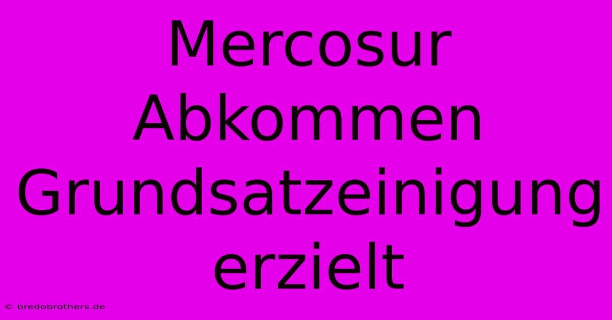 Mercosur Abkommen Grundsatzeinigung Erzielt