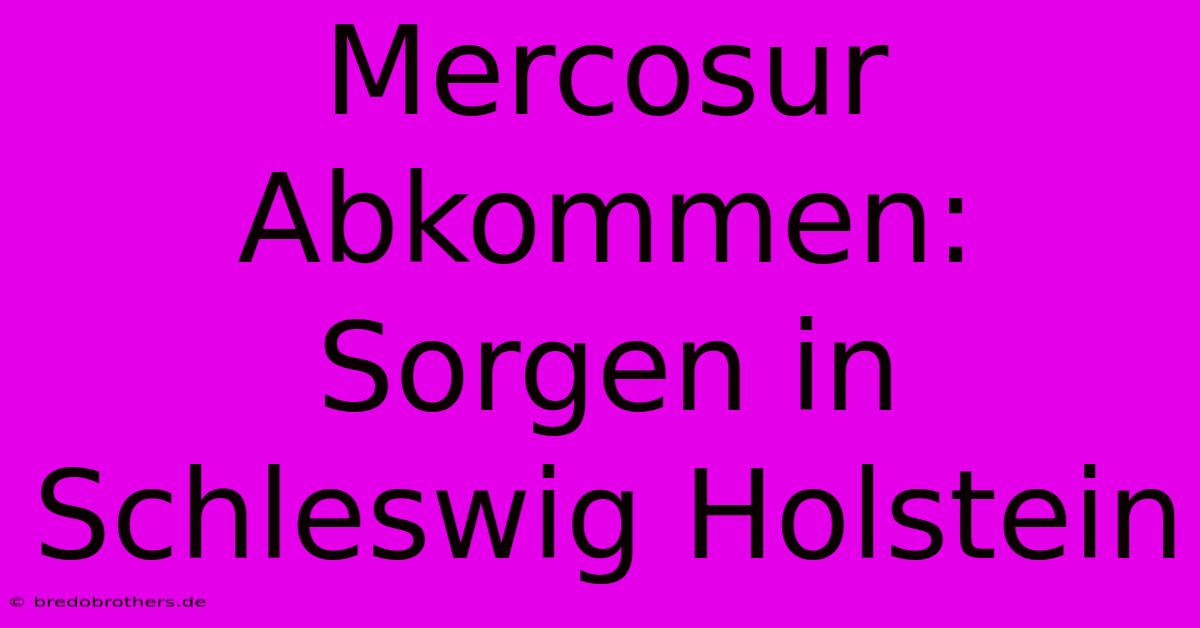 Mercosur Abkommen: Sorgen In Schleswig Holstein