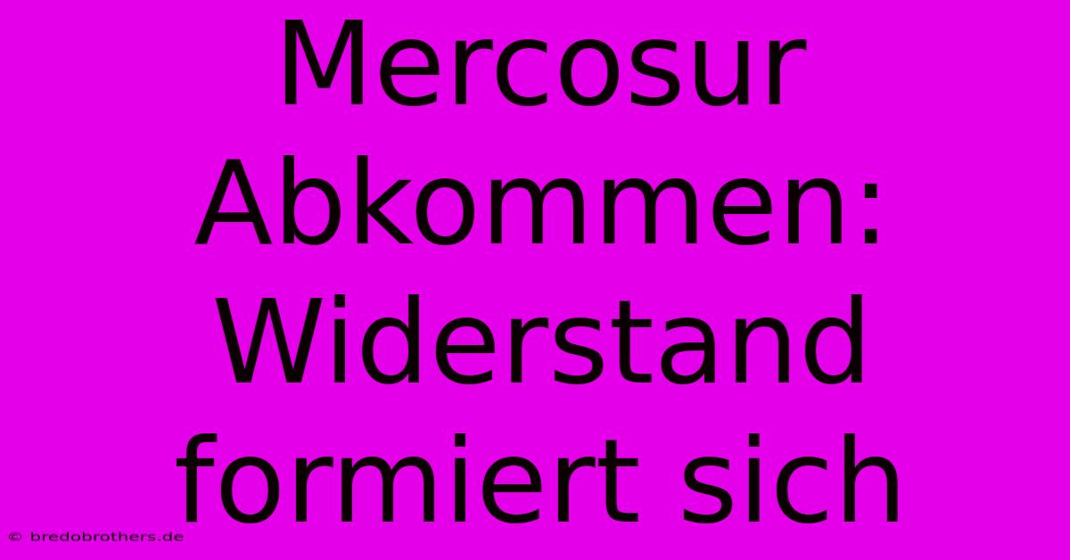 Mercosur Abkommen: Widerstand Formiert Sich