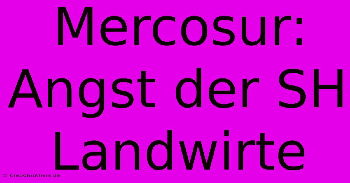 Mercosur: Angst Der SH Landwirte