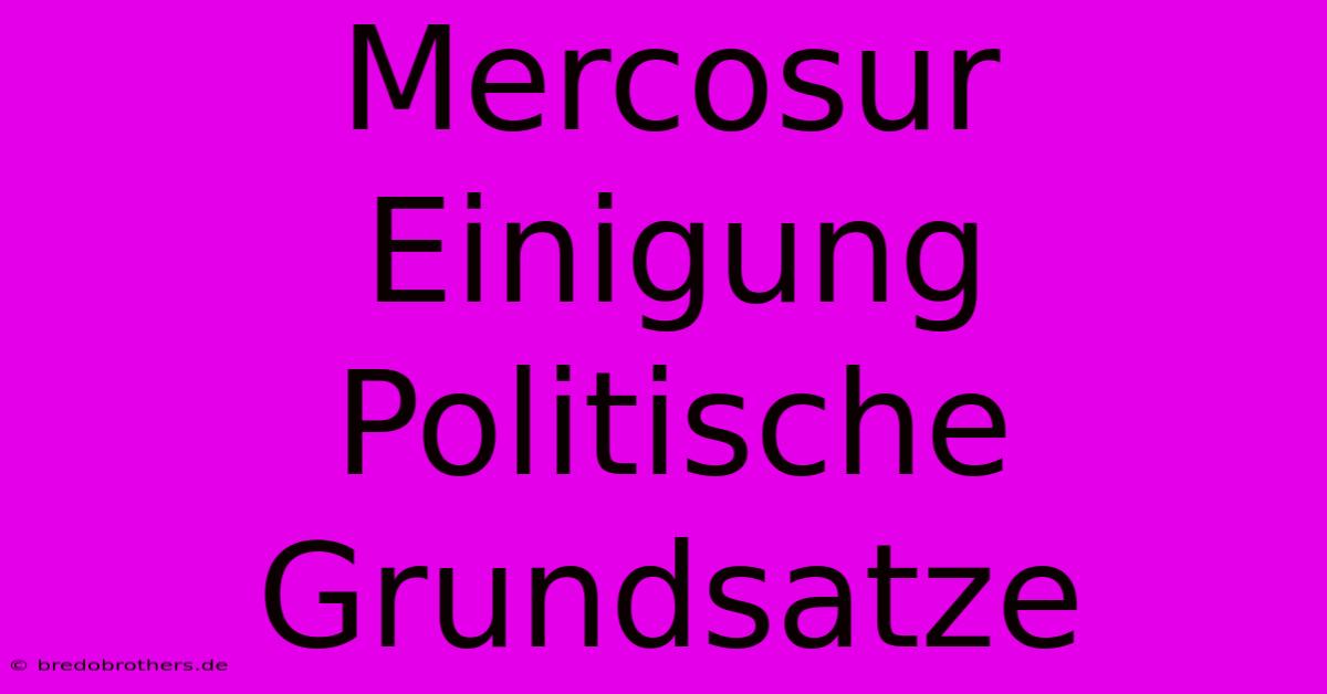 Mercosur Einigung Politische Grundsatze