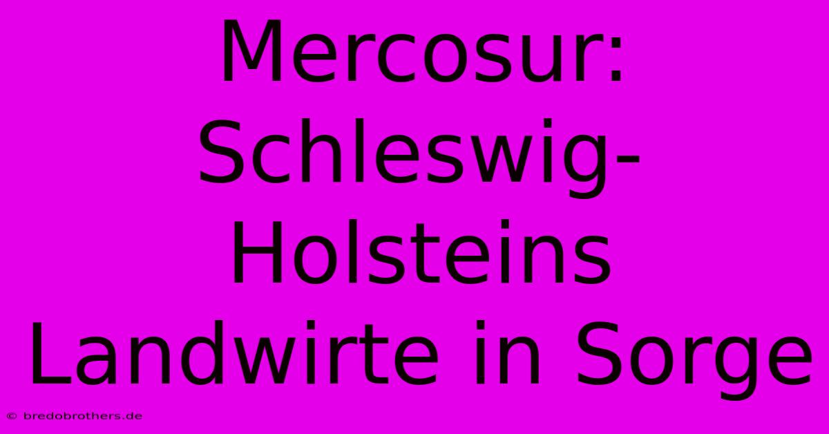 Mercosur: Schleswig-Holsteins Landwirte In Sorge