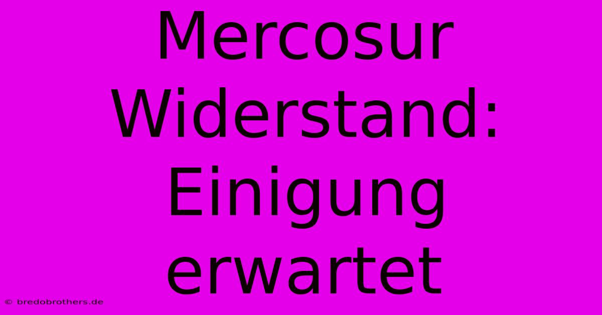 Mercosur Widerstand: Einigung Erwartet