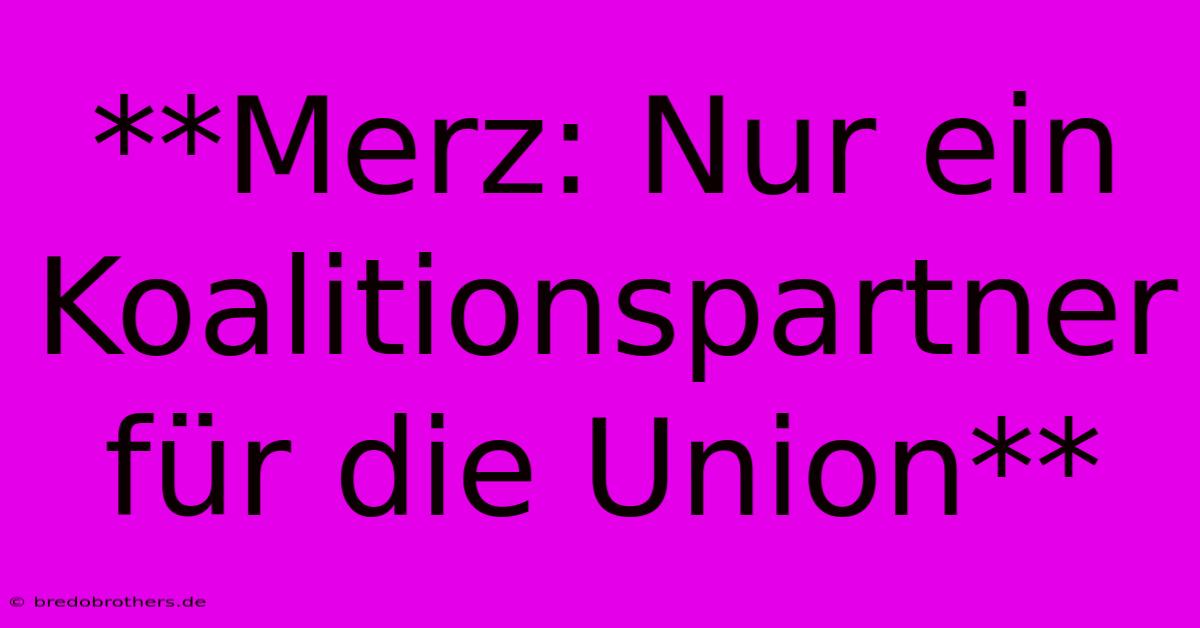 **Merz: Nur Ein Koalitionspartner Für Die Union**