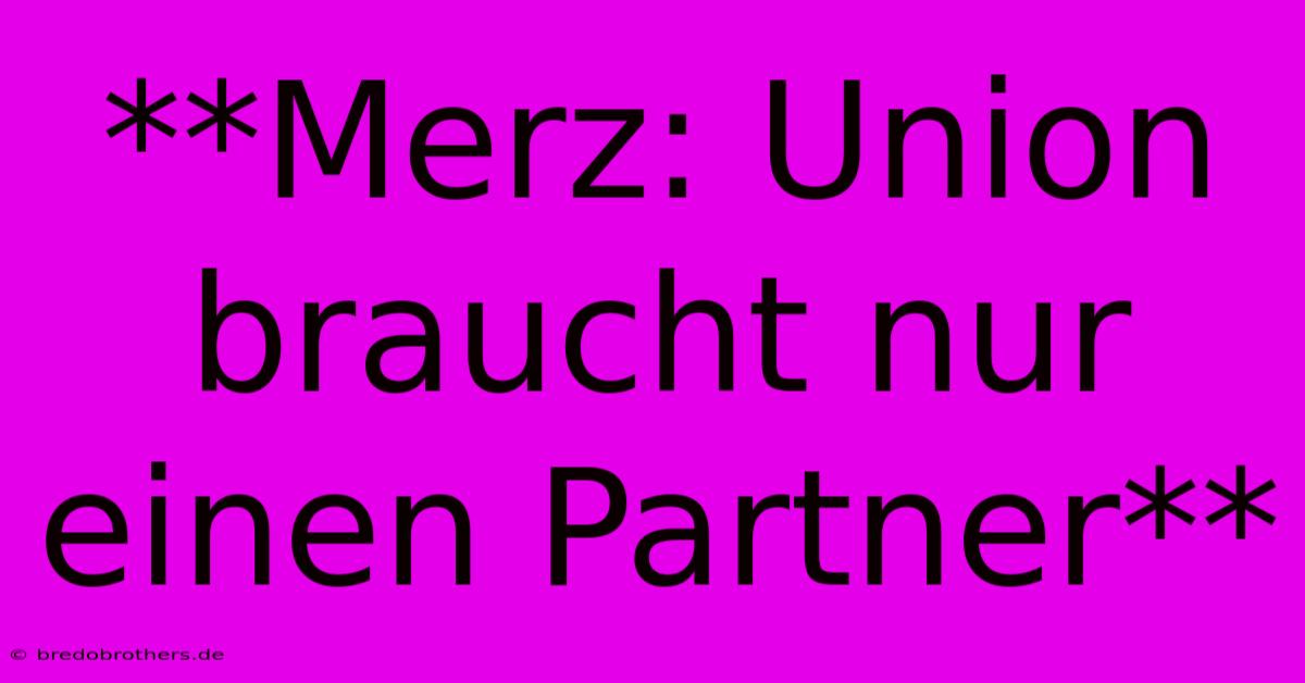 **Merz: Union Braucht Nur Einen Partner**