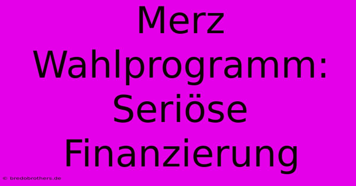 Merz Wahlprogramm: Seriöse Finanzierung