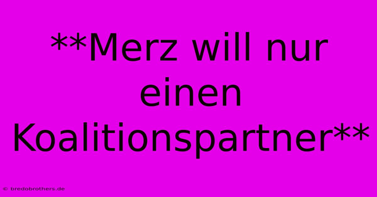 **Merz Will Nur Einen Koalitionspartner**