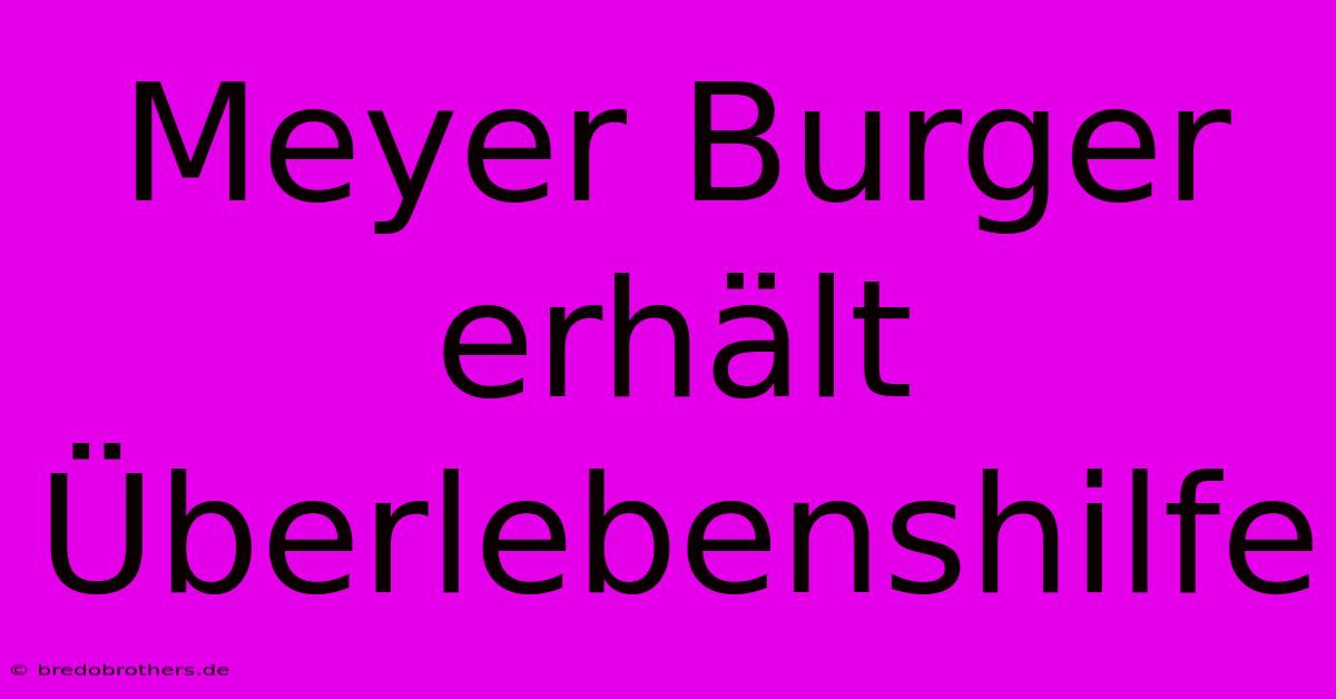 Meyer Burger Erhält Überlebenshilfe