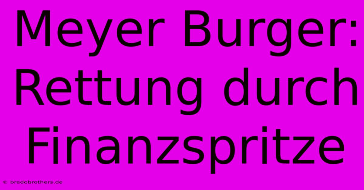 Meyer Burger: Rettung Durch Finanzspritze