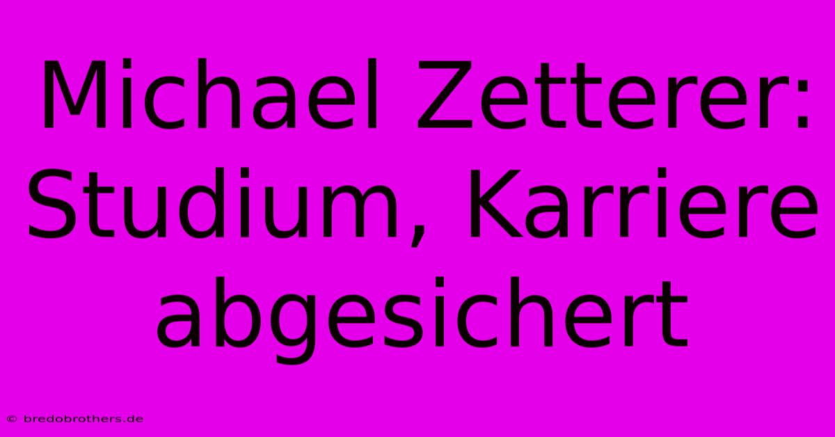 Michael Zetterer: Studium, Karriere Abgesichert