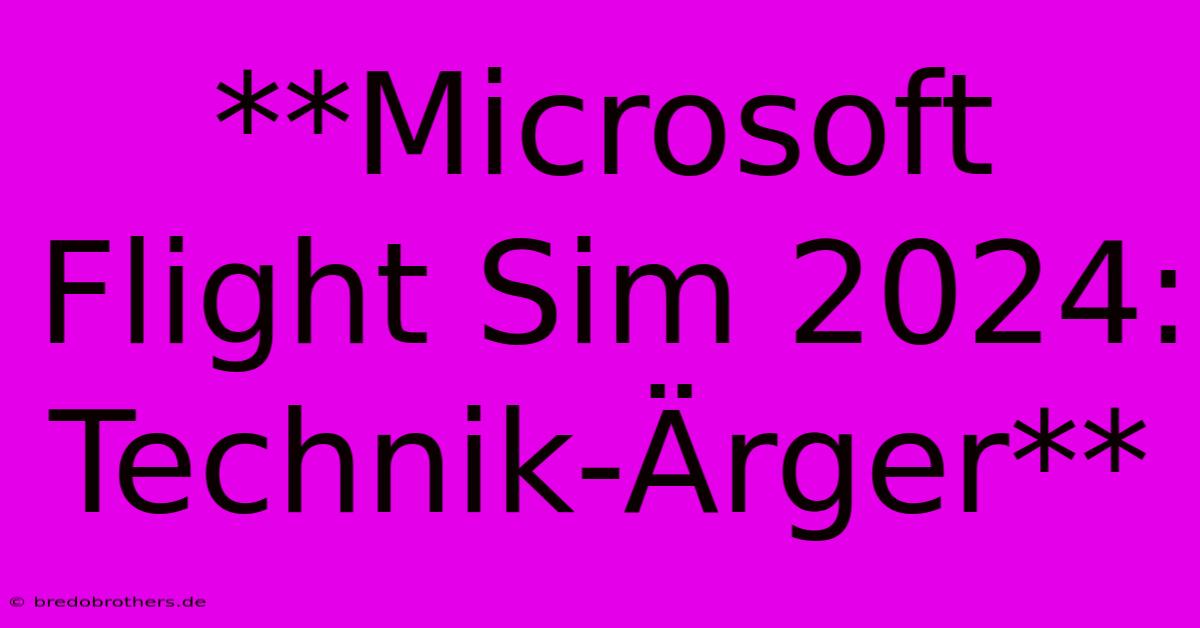 **Microsoft Flight Sim 2024: Technik-Ärger**