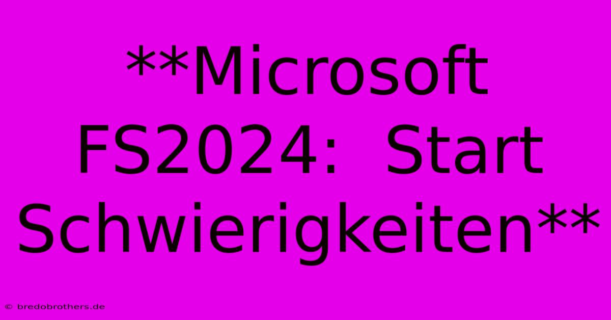 **Microsoft FS2024:  Start Schwierigkeiten**