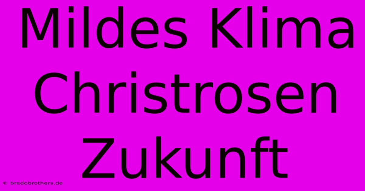 Mildes Klima Christrosen Zukunft