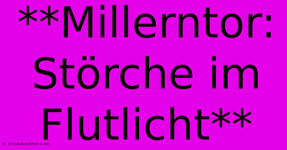 **Millerntor: Störche Im Flutlicht**