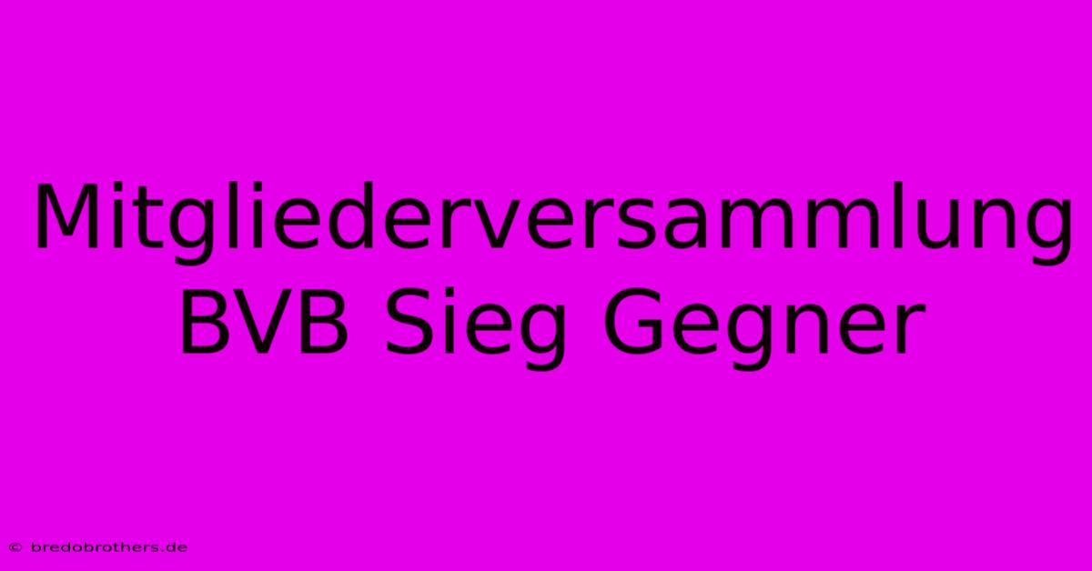 Mitgliederversammlung BVB Sieg Gegner