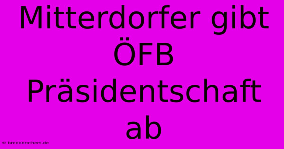 Mitterdorfer Gibt ÖFB Präsidentschaft Ab