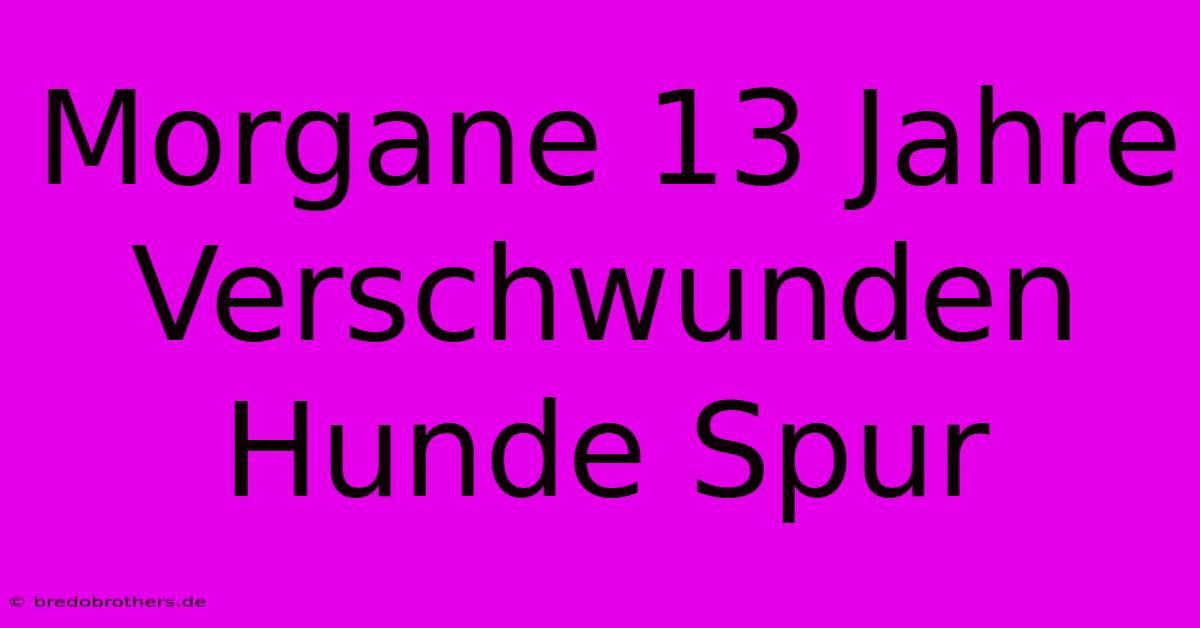 Morgane 13 Jahre Verschwunden Hunde Spur