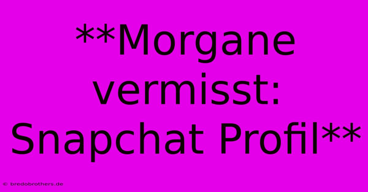 **Morgane Vermisst: Snapchat Profil**