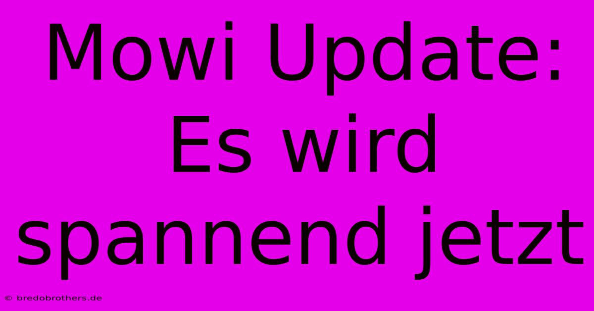 Mowi Update: Es Wird Spannend Jetzt