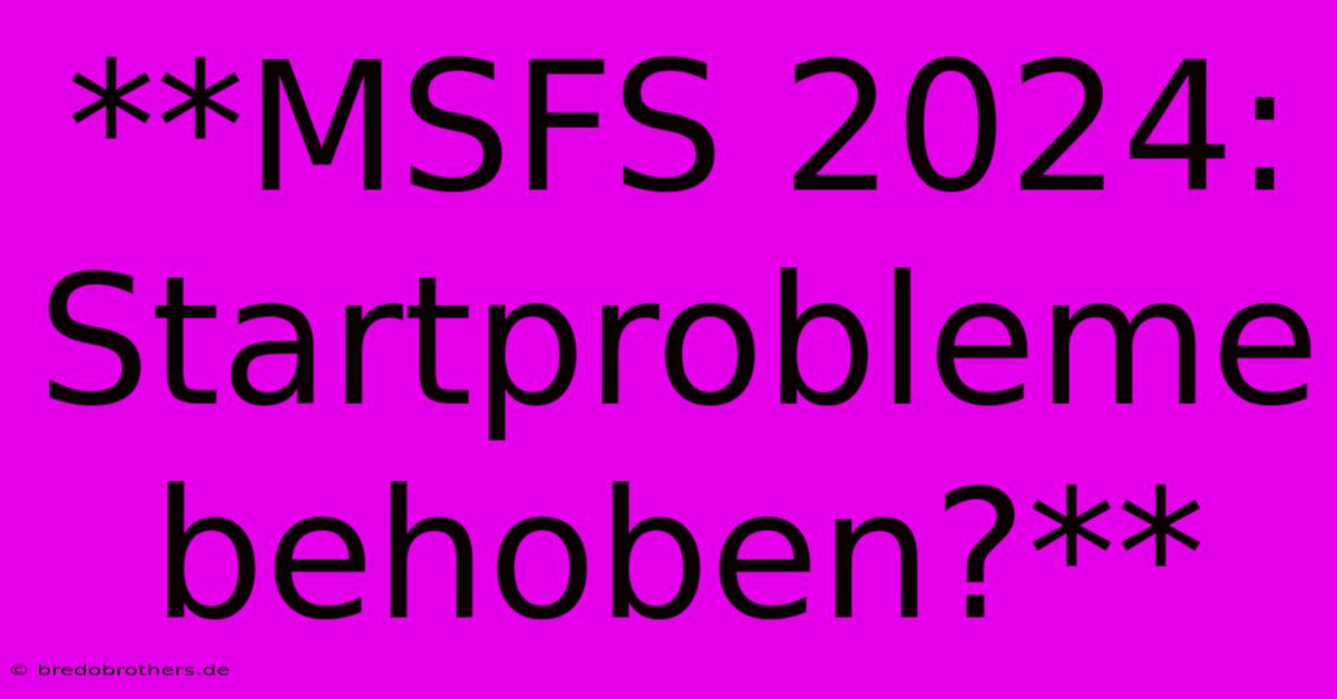 **MSFS 2024: Startprobleme Behoben?**