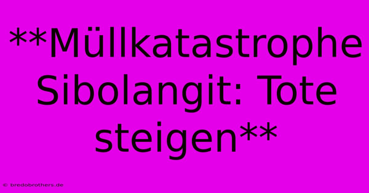 **Müllkatastrophe Sibolangit: Tote Steigen**