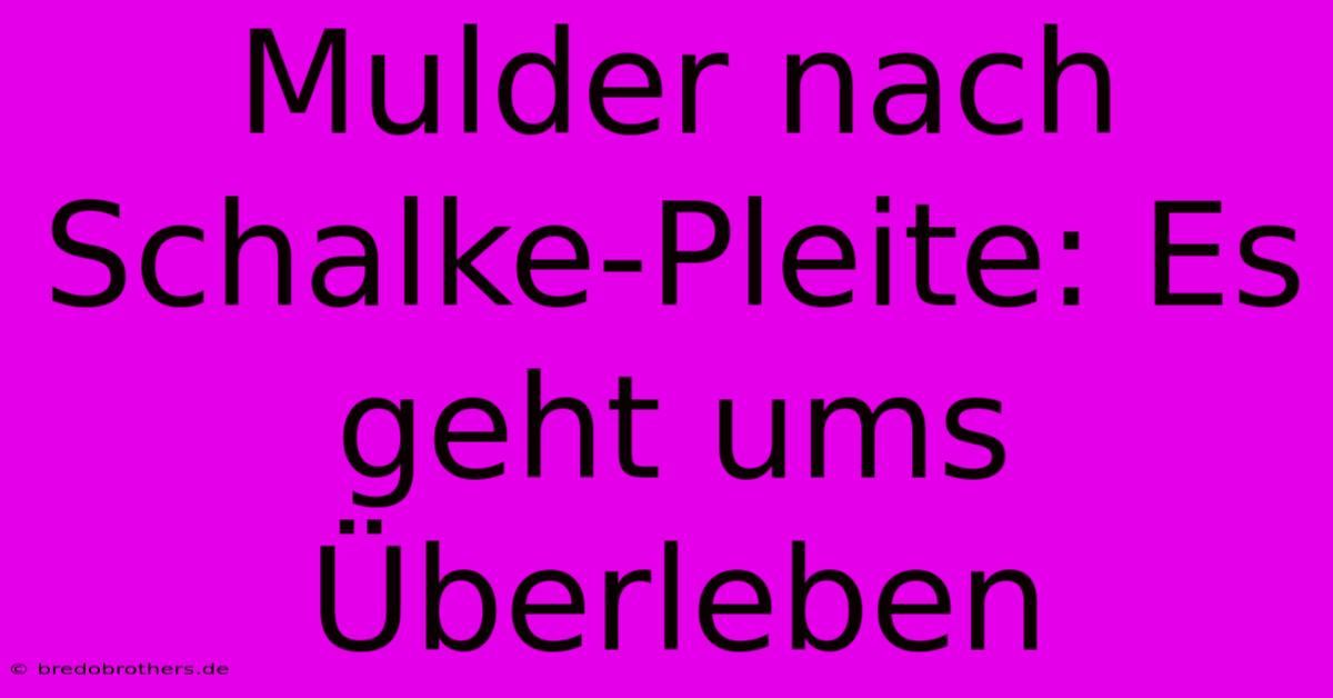 Mulder Nach Schalke-Pleite: Es Geht Ums Überleben