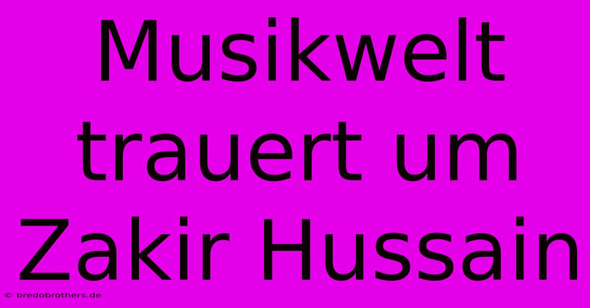 Musikwelt Trauert Um Zakir Hussain