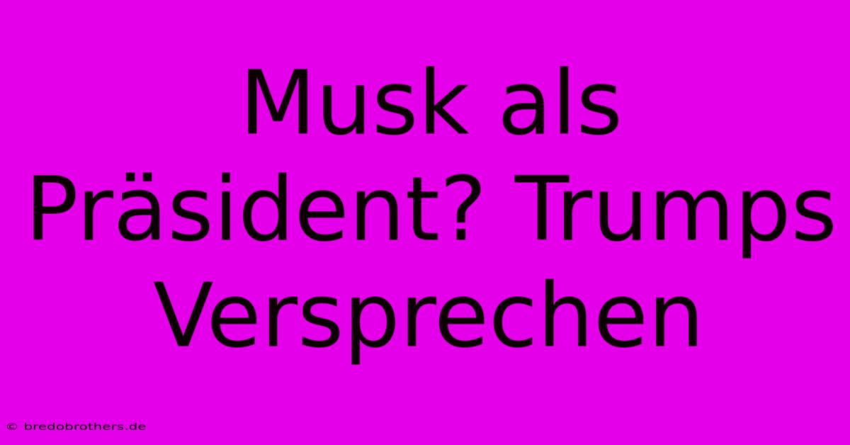 Musk Als Präsident? Trumps Versprechen