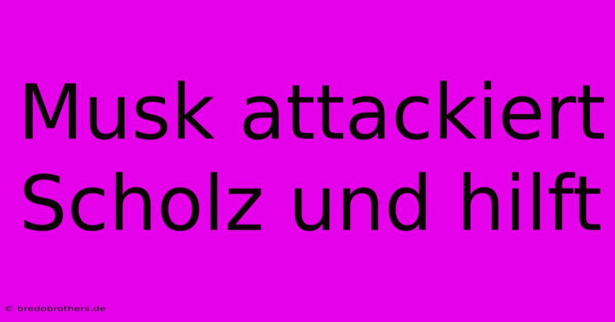 Musk Attackiert Scholz Und Hilft