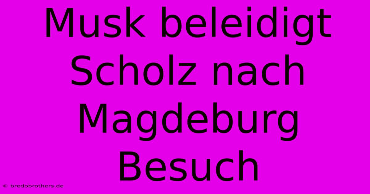 Musk Beleidigt Scholz Nach Magdeburg Besuch