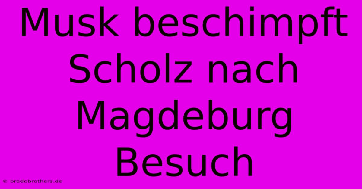 Musk Beschimpft Scholz Nach Magdeburg Besuch