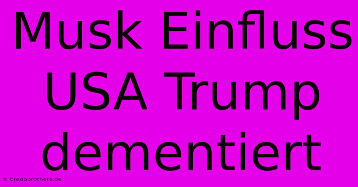 Musk Einfluss USA Trump Dementiert