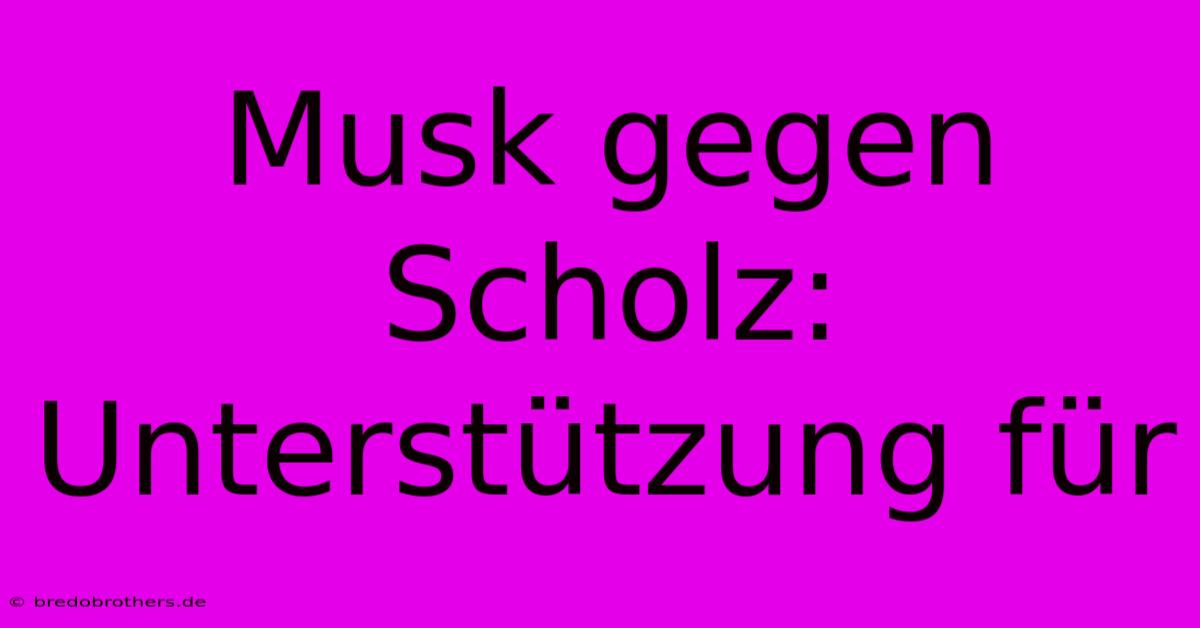 Musk Gegen Scholz: Unterstützung Für