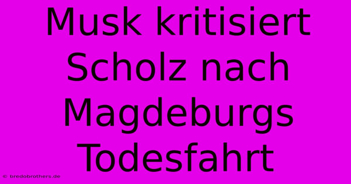 Musk Kritisiert Scholz Nach Magdeburgs Todesfahrt